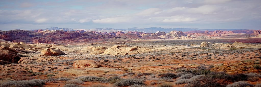 Reno Medical Insurance