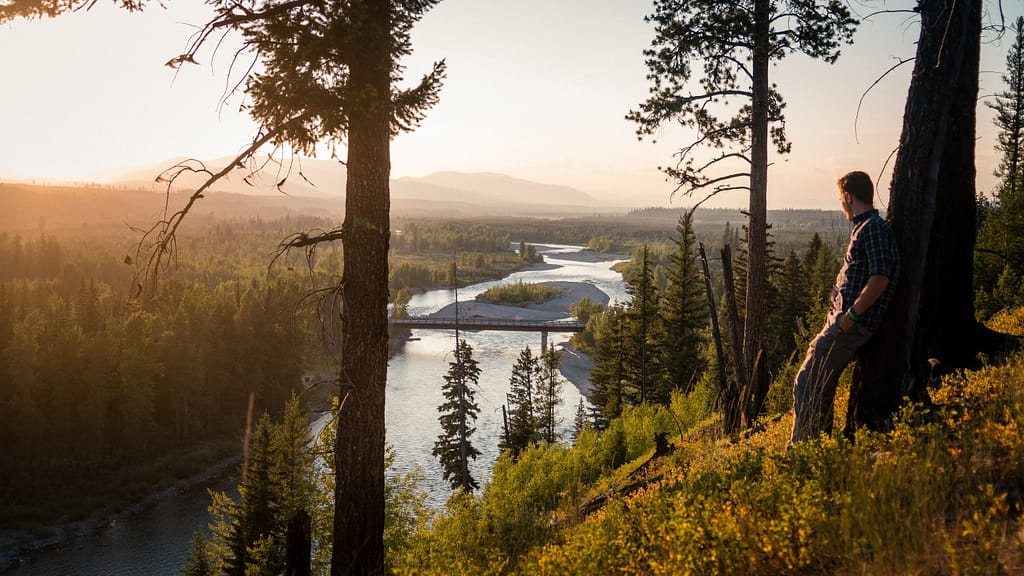 Top Medicare Advantage Plans in Reno